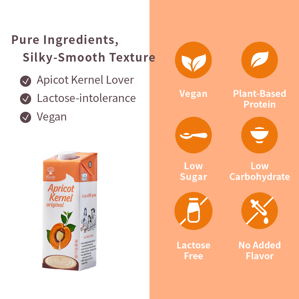 Roots Original Apricot Kernel Drink 1L x 12