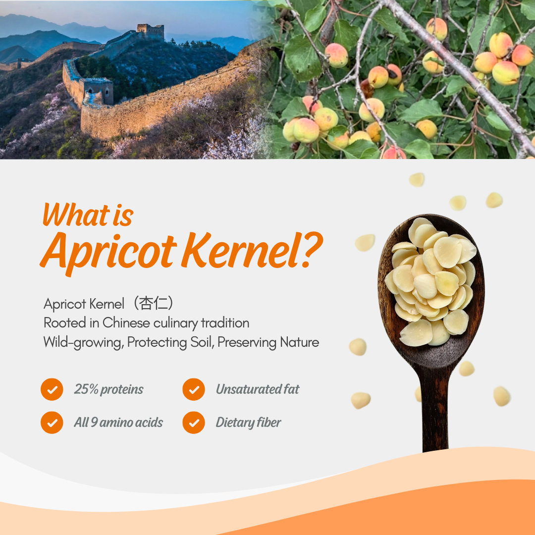 Roots Original Apricot Kernel Drink 1L x 12